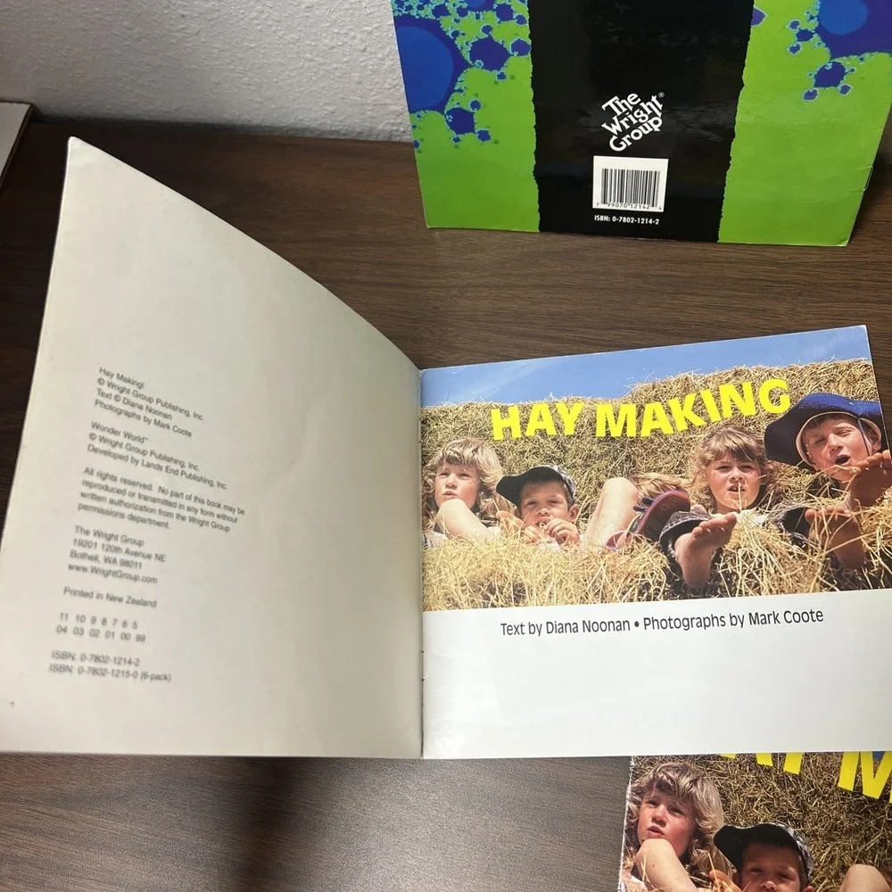 (Lot of 5) Level 1 HAY MAKING Emergent Beginning Readers ( 1st/2nd Grade) Noonan